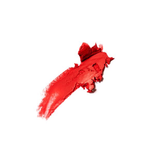 PINTALABIOS MATE - LE ROUGE À LÈVRES MAT EMMANUELLE