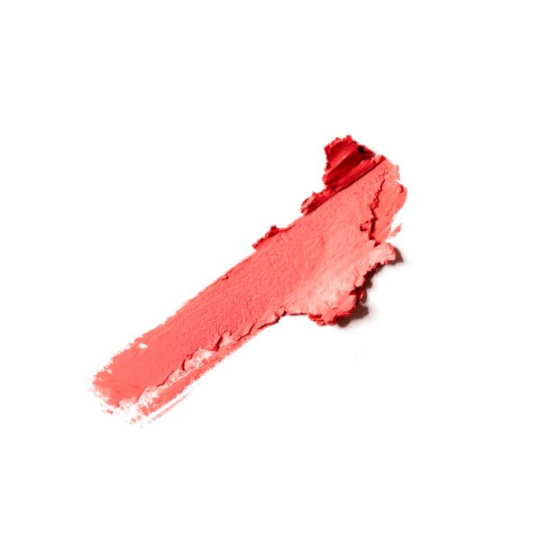 PINTALABIOS SEMIMATE- LE ROUGE À LÈVRES SEMI MAT GABRIELLE