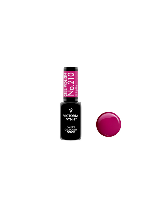 Gel Polish nº210