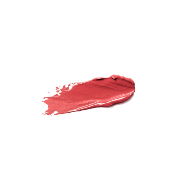 LABIAL LIQUIDO MATE - LA LAQUE MATE FRANCINE