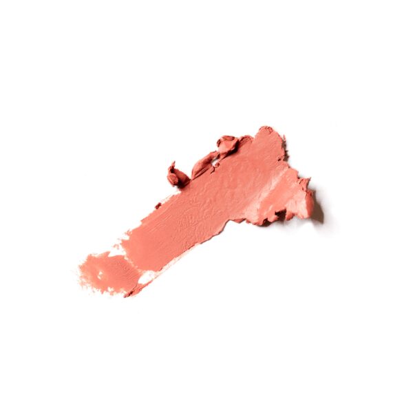 PINTALABIOS SEMIMATE- LE ROUGE À LÈVRES SEMI MAT CHARLOTTE