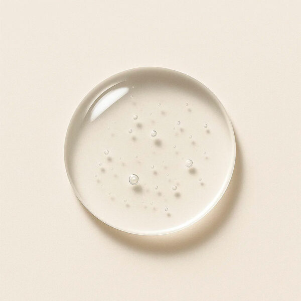 ELIXIR JELLY - L’ELIXIR JELLY